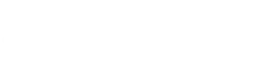 Silicon Technical